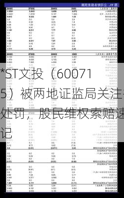 *ST文投（600715）被两地证监局关注并处罚，股民维权索赔速登记