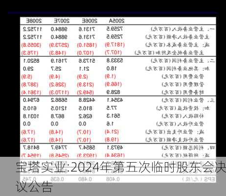 宝塔实业:2024年第五次临时股东会决议公告