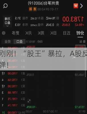 刚刚！“股王”暴拉，A股反弹！