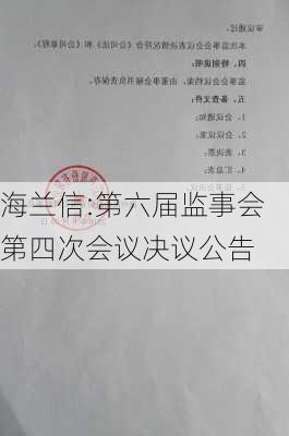 海兰信:第六届监事会第四次会议决议公告