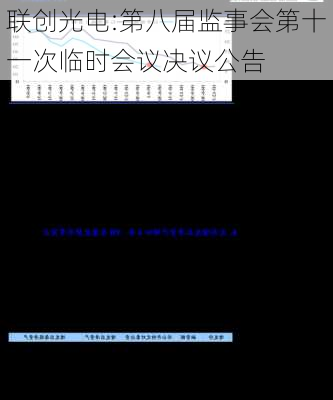 联创光电:第八届监事会第十一次临时会议决议公告