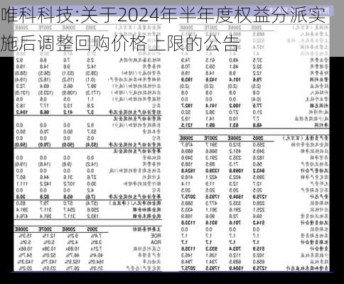 唯科科技:关于2024年半年度权益分派实施后调整回购价格上限的公告