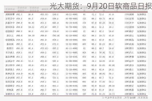 光大期货：9月20日软商品日报