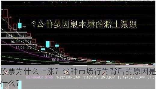 股票为什么上涨？这种市场行为背后的原因是什么？