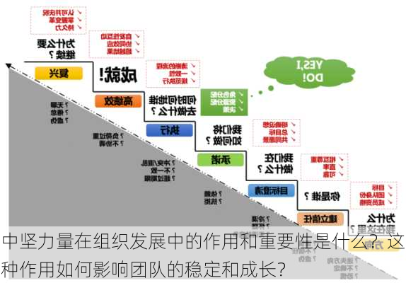 中坚力量在组织发展中的作用和重要性是什么？这种作用如何影响团队的稳定和成长？