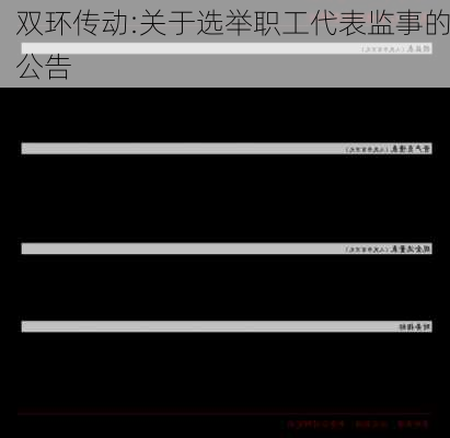 双环传动:关于选举职工代表监事的公告