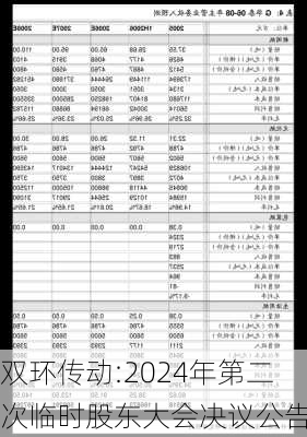 双环传动:2024年第二次临时股东大会决议公告