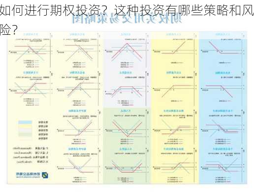 如何进行期权投资？这种投资有哪些策略和风险？