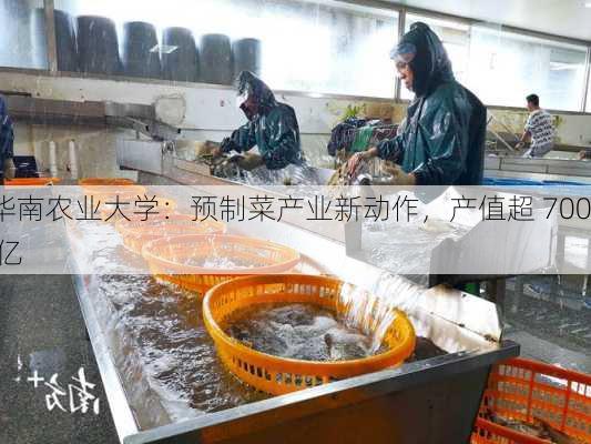 华南农业大学：预制菜产业新动作，产值超 700 亿