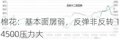 棉花：基本面孱弱，反弹非反转 14500压力大