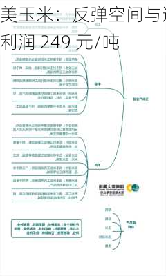 美玉米：反弹空间与进口利润 249 元/吨