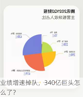 业绩增速掉队，340亿巨头怎么了？