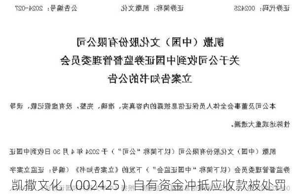 凯撒文化（002425）自有资金冲抵应收款被处罚