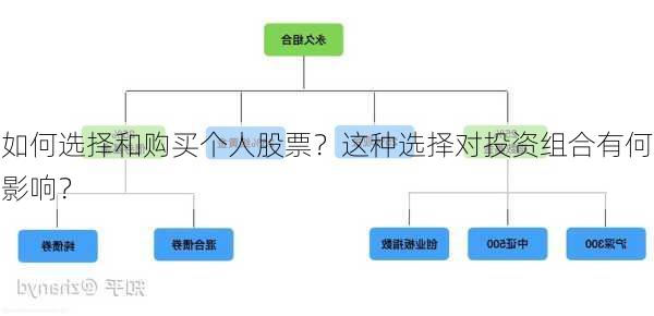 如何选择和购买个人股票？这种选择对投资组合有何影响？