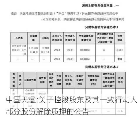 中国天楹:关于控股股东及其一致行动人部分股份解除质押的公告