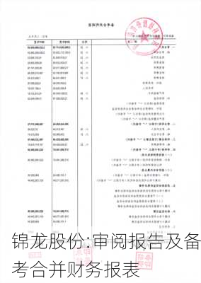 锦龙股份:审阅报告及备考合并财务报表