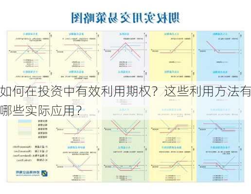 如何在投资中有效利用期权？这些利用方法有哪些实际应用？