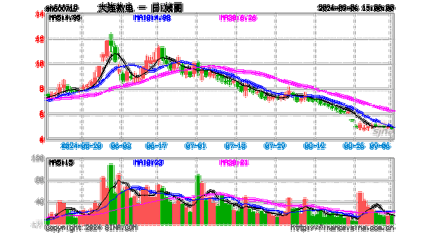 Rimini Street, Inc.盘中异动 急速下挫6.04%报1.71美元