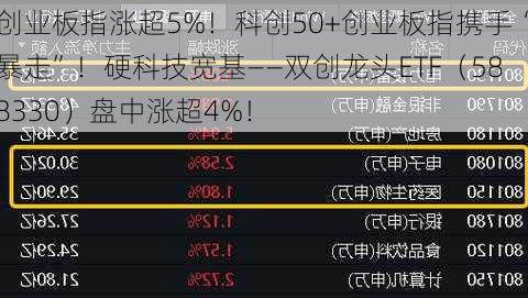 创业板指涨超5%！科创50+创业板指携手“暴走”！硬科技宽基——双创龙头ETF（588330）盘中涨超4%！