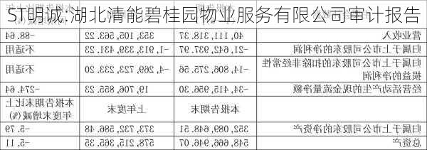 ST明诚:湖北清能碧桂园物业服务有限公司审计报告