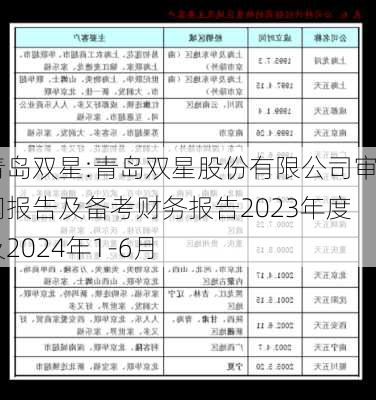 青岛双星:青岛双星股份有限公司审阅报告及备考财务报告2023年度及2024年1-6月