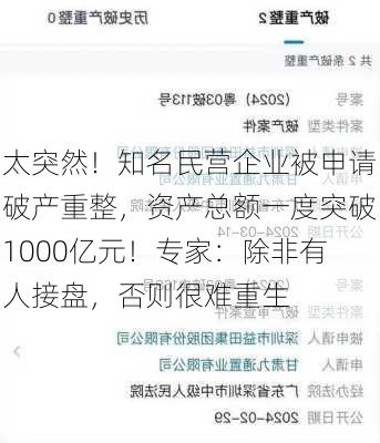 太突然！知名民营企业被申请破产重整，资产总额一度突破1000亿元！专家：除非有人接盘，否则很难重生