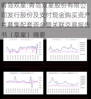 青岛双星:青岛双星股份有限公司发行股份及支付现金购买资产并募集配套资金暨关联交易报告书（草案）摘要