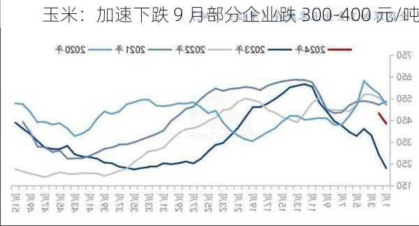 玉米：加速下跌 9 月部分企业跌 300-400 元/吨