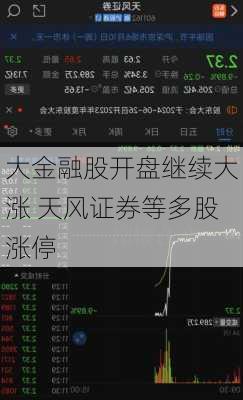 大金融股开盘继续大涨 天风证券等多股涨停