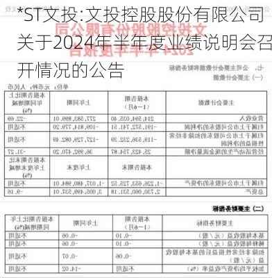 *ST文投:文投控股股份有限公司关于2024年半年度业绩说明会召开情况的公告