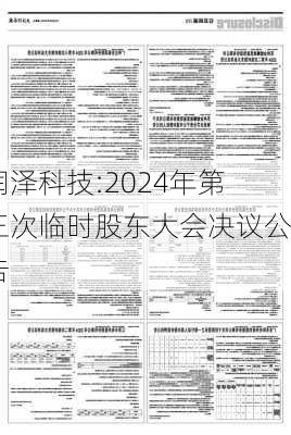 润泽科技:2024年第三次临时股东大会决议公告