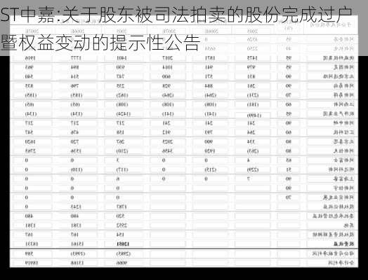 ST中嘉:关于股东被司法拍卖的股份完成过户暨权益变动的提示性公告