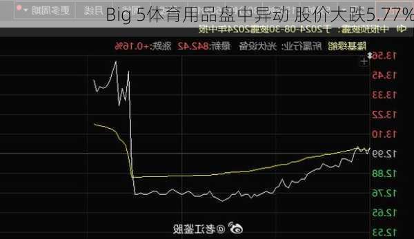 Big 5体育用品盘中异动 股价大跌5.77%