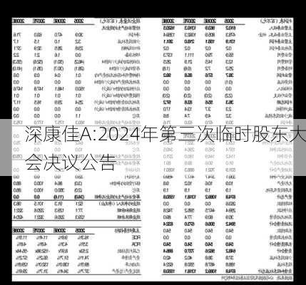 深康佳A:2024年第三次临时股东大会决议公告