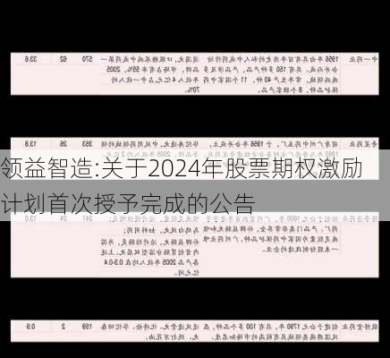 领益智造:关于2024年股票期权激励计划首次授予完成的公告