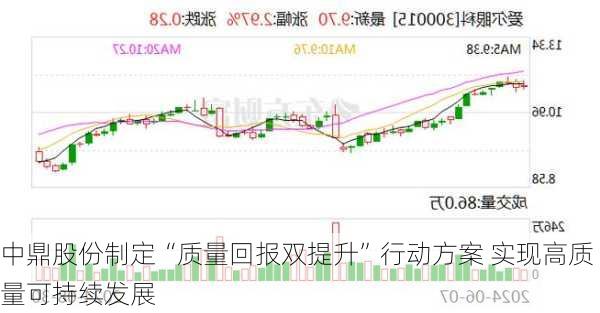 中鼎股份制定“质量回报双提升”行动方案 实现高质量可持续发展