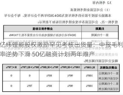 亿纬锂能股权激励罕见考核出货量：中报毛利率逆势下滑 50亿融资计划两年难产