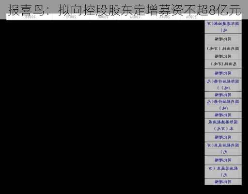 报喜鸟：拟向控股股东定增募资不超8亿元