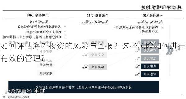 如何评估海外投资的风险与回报？这些风险如何进行有效的管理？