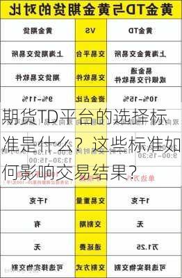 期货TD平台的选择标准是什么？这些标准如何影响交易结果？