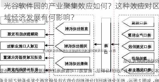 光谷软件园的产业聚集效应如何？这种效应对区域经济发展有何影响？