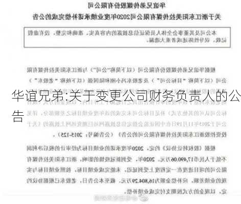 华谊兄弟:关于变更公司财务负责人的公告