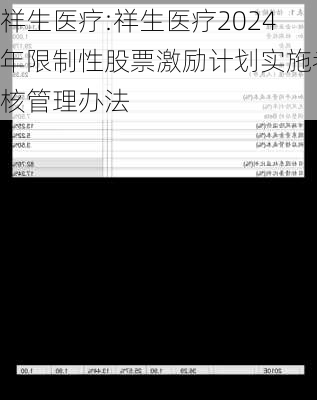 祥生医疗:祥生医疗2024年限制性股票激励计划实施考核管理办法