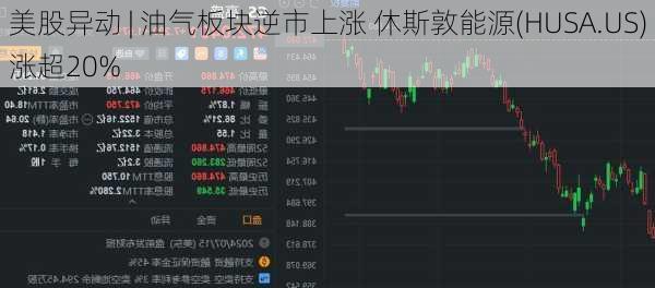 美股异动 | 油气板块逆市上涨 休斯敦能源(HUSA.US)涨超20%