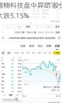 嘉楠科技盘中异动 股价大跌5.15%