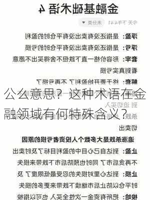 公么意思？这种术语在金融领域有何特殊含义？