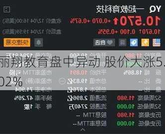 丽翔教育盘中异动 股价大涨5.02%