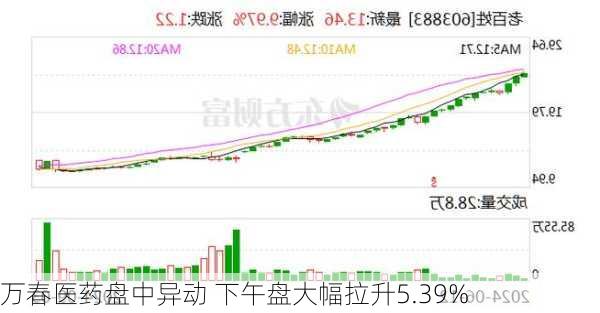 万春医药盘中异动 下午盘大幅拉升5.39%