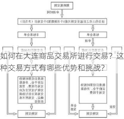 如何在大连商品交易所进行交易？这种交易方式有哪些优势和挑战？