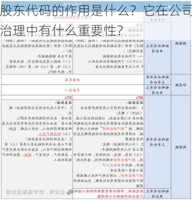 股东代码的作用是什么？它在公司治理中有什么重要性？